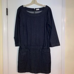 AG Denim Dress